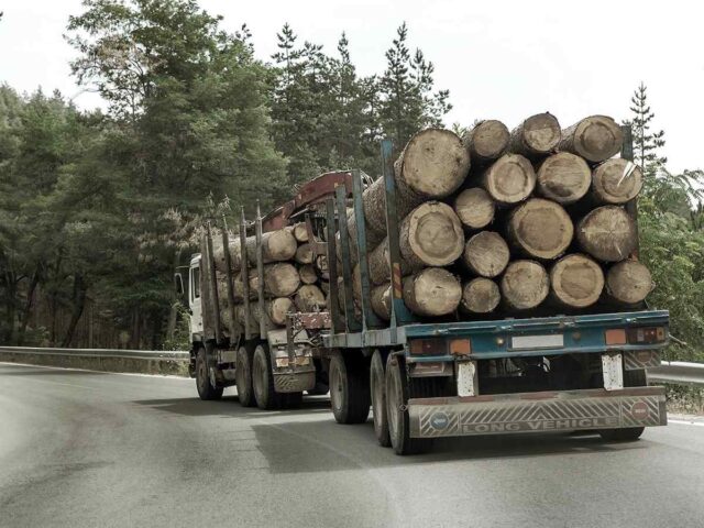 inner_big_trucks_01 https://mscshipingsglobe.com/wp-content/uploads/2017/08/inner_big_trucks_01-640x480.jpg