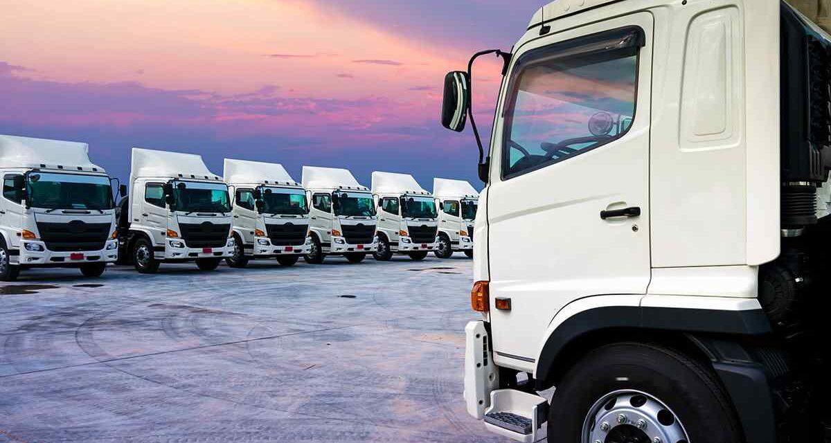 inner_big_trucks_02 https://mscshipingsglobe.com/wp-content/uploads/2017/08/inner_big_trucks_02-1200x640.jpg